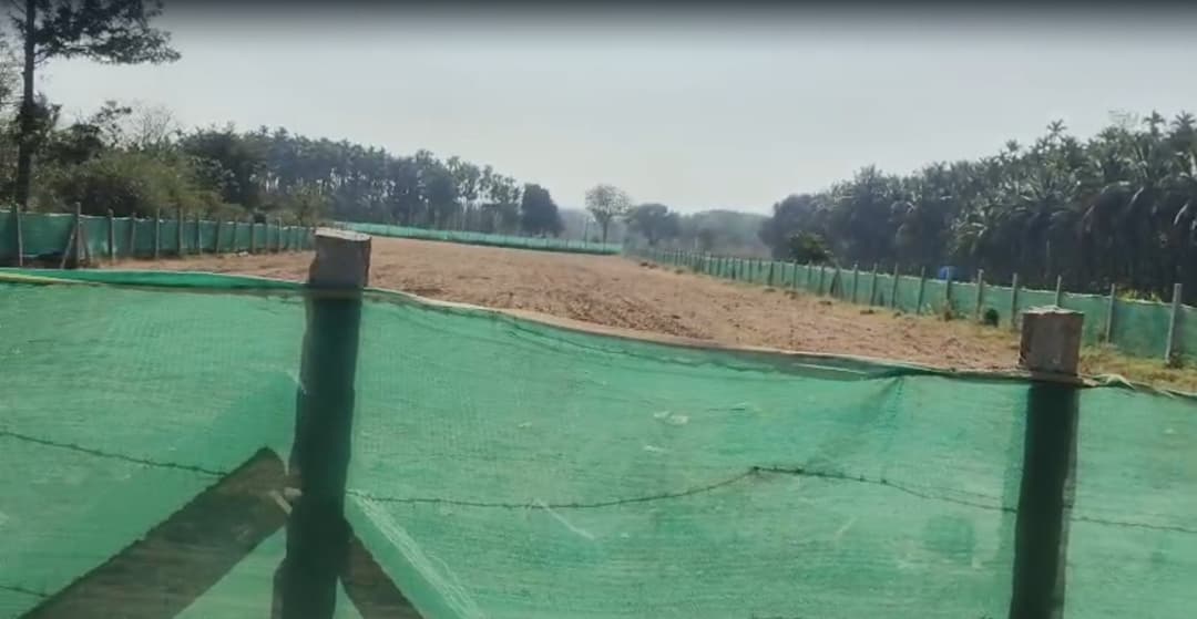 Agri farmland Doddaballapura