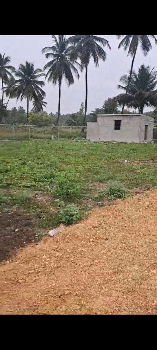 Agri Farmland Mandya