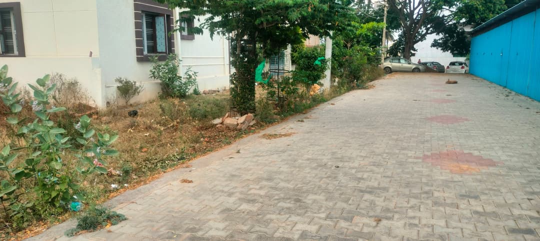 Plot near TB Circle DBP