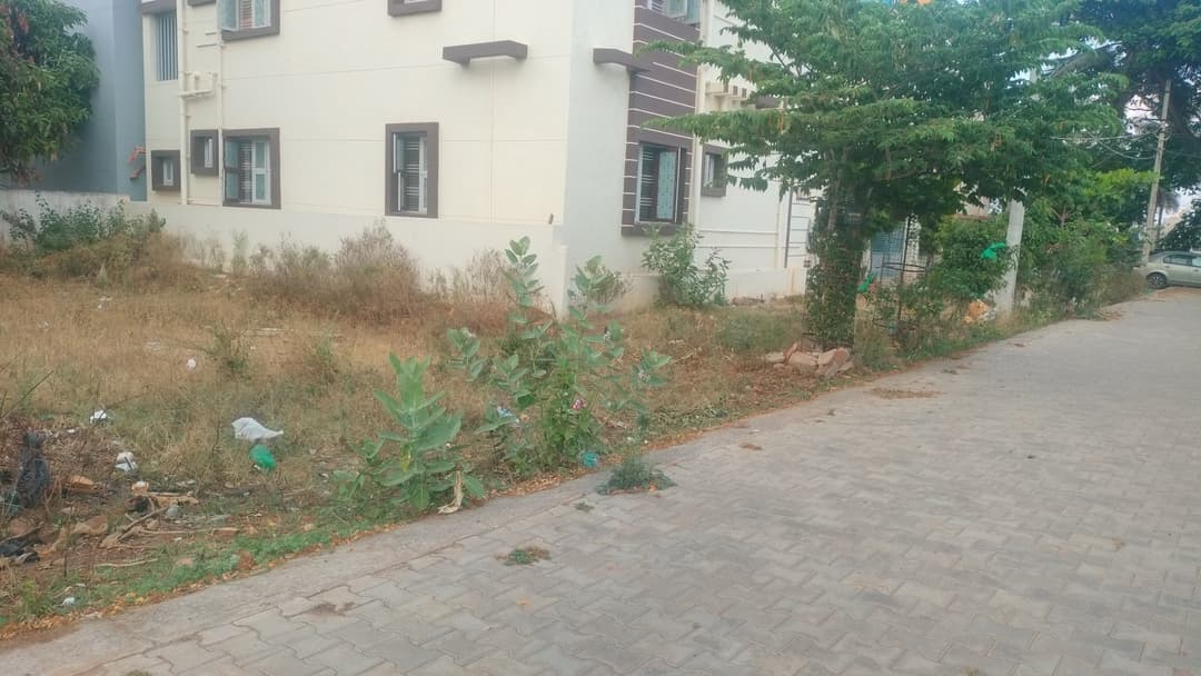 Plot near TB Circle DBP