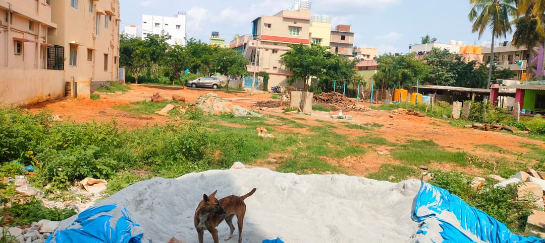 Site for sale in DBP